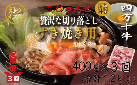 yml\szR6-716Dy3ցzґȐ؂藎Ƃiėpj400g×3iv1.2kgj