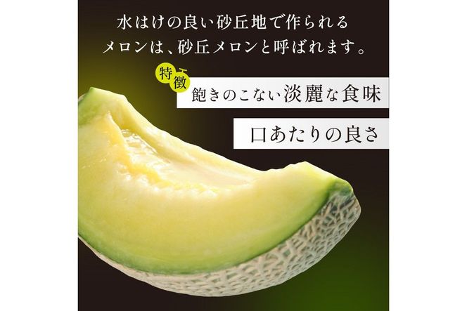【先行予約／数量限定450】京丹後産 砂丘メロン 大玉2L以上 1玉（2026年7月下旬～発送）　国産 高級メロン めろん 贈答 贈答品メロンマスクメロン 青肉メロン メロン先行予約 メロン1玉　HF0001