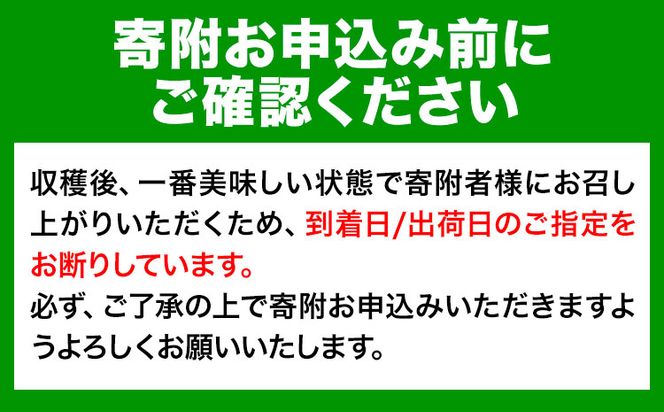 【先行予約】【訳あり/ご家庭用】先行予約 紀の川八朔 9㎏＋1㎏ 計約10㎏ サンファーム《1月上旬-3月末頃出荷》和歌山県 紀の川市---wsk_saf9_1j3m_25_11000_10kg---