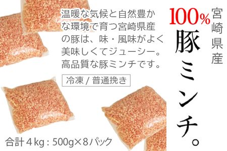 ＜宮崎産豚ミンチ4kg＋塩＞3か月以内に順次出荷【c478_tf_x3】