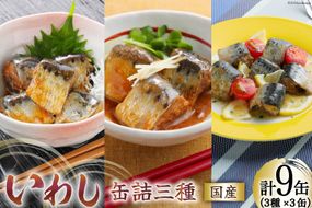 いわし 缶詰 食べ比べ セット 170g×9缶 3種×3 [気仙沼市物産振興協会 宮城県 気仙沼市 20565278] いわし醤油煮 いわし味噌煮 いわしバジルソース 長期保存 非常食 備蓄 防災