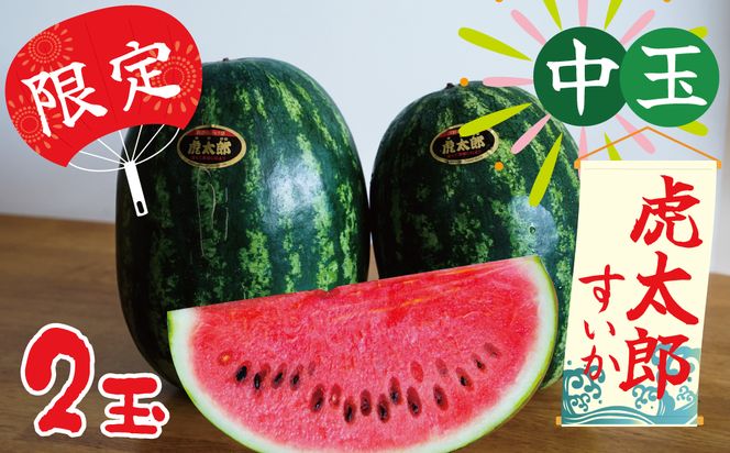 ymɓszy2026NzĂ̕ ʂuՑYZvQ  Â 2 @H141-016