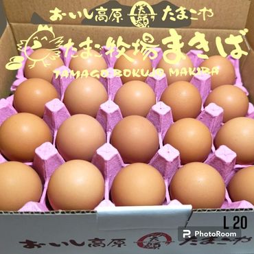 おいし高原 庭さき卵 Lサイズ 20個入り たまご 卵 玉子 ED002