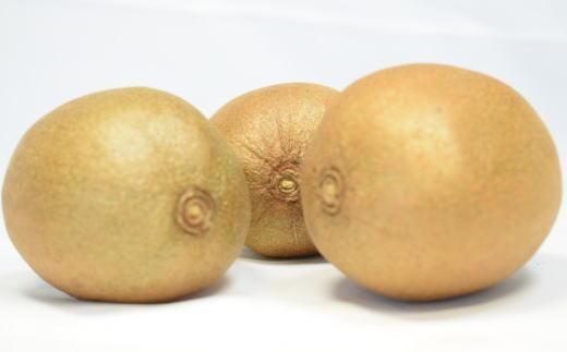 【数量限定】キウイフルーツの新品種「東京ゴールドキウイ」約3kg（サイズ混合）★2024年12月中旬頃より順次発送  BZ091