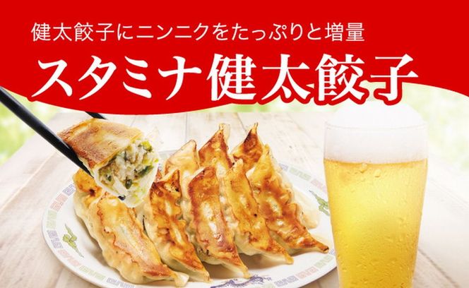 「宇都宮餃子館」健太餃子 960g（48個）≪冷凍餃子 冷凍食品 ギョーザ グルメ 食品 惣菜 中華惣菜 点心 中華≫