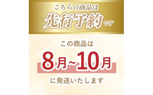 FB002【2026年 先行予約】山梨県産　種なしピオーネ2～3房(約1.0Kg）
