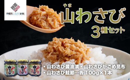 山わさび 3種セット(醤油漬・がごめ昆布・鮭節)【配送不可地域：離島】 BHRG056