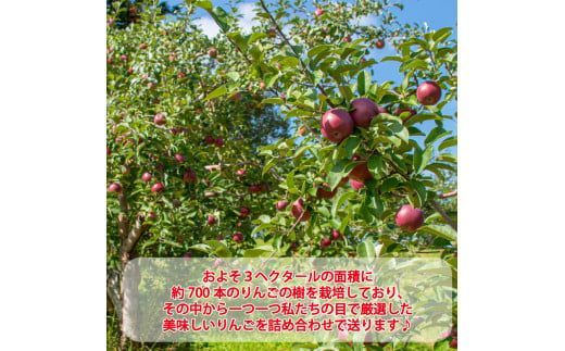 【予約：2026年10月から順次発送】季節のりんご詰め合わせ 3kg ( りんご リンゴ 林檎 詰合せ 3kg 旭 つがる 黄王 レッドゴールド ジョナゴールド 昴林 森の輝き 王林 ふじ )【044-0002-2026】