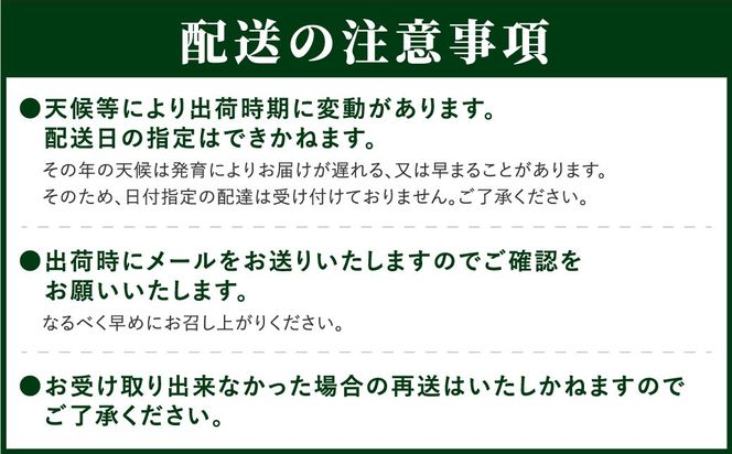 シャインマスカット 1.3kg 2房 先行予約 冷蔵 種無し 種なし ブドウ ぶどう 品種 果物 甘さ 香り 美味しい 食べ方 人気 ランキング おすすめ 家庭用 福島 ふくしま 田村 田村市 たむら 鈴木農園 でんじろうさん N046-002
