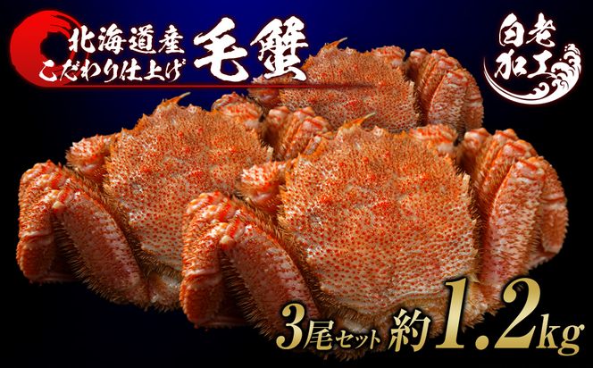 ykCVzъI {Cς Ⓚ 3Zbg 1.2kg  BM249