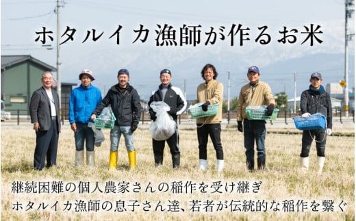 【訳あり】ほたるいか米（玄米30kg）【通年発送】