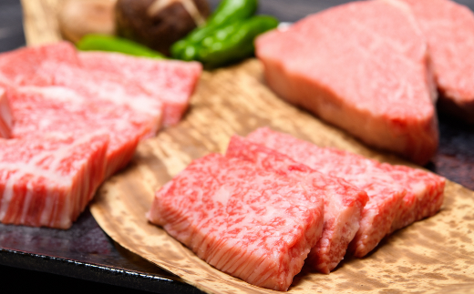 【和牛の旨味を堪能！】博多和牛 焼肉用 500g《築上町》【株式会社MEAT PLUS】 [ABBP012]