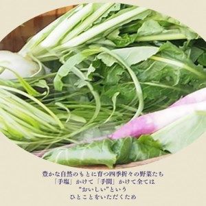 【最短7日以内発送】京つけもの 詰合せ《近為》