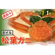 1536【魚倉】足１本なしボイル松葉ガニ(特特大1,100ｇ)訳あり