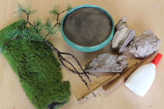 盆栽キット（小）GF-008