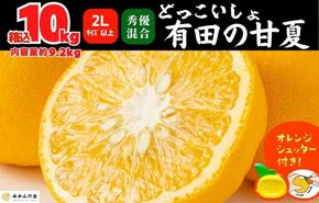 甘夏 大玉 箱込 10kg (内容量約9.2kg) 秀品 優品 混合 どっこいしょ 2Lサイズ以上 産地直送【みかんの会】 AX251