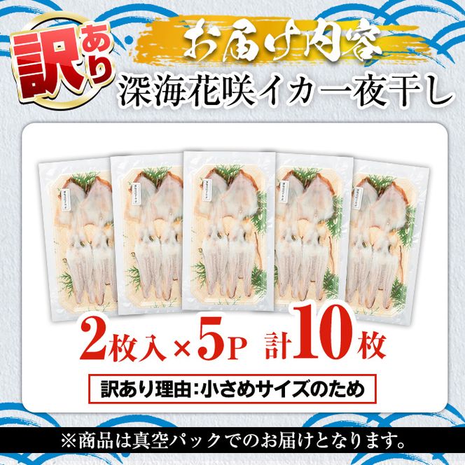 ＜訳あり＞数量限定！深海花咲イカ(計10枚) 国産 いか 一夜干し 干物 ひもの 魚介 加工品 おつまみ おかず 訳あり【福美丸水産】a-14-46