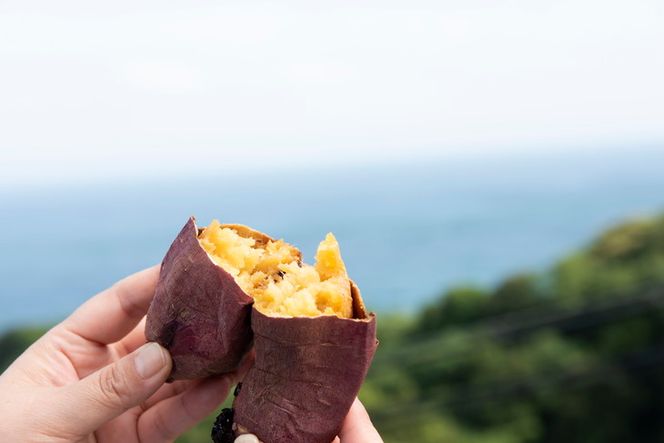 【先行予約】【数量限定】べにはるか 生芋（2.5kg）| 紅はるか さつまいも サツマイモ 産地直送　※2024年12月上旬～2025年4月下旬頃に順次発送予定