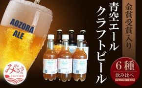 青空エールこだわりのクラフトビール飲み比べ詰め合わせセット〈フルーツビール入り〉6種6本（330ml 瓶×3本、500mlペットボトル×3本）_M170-003_12