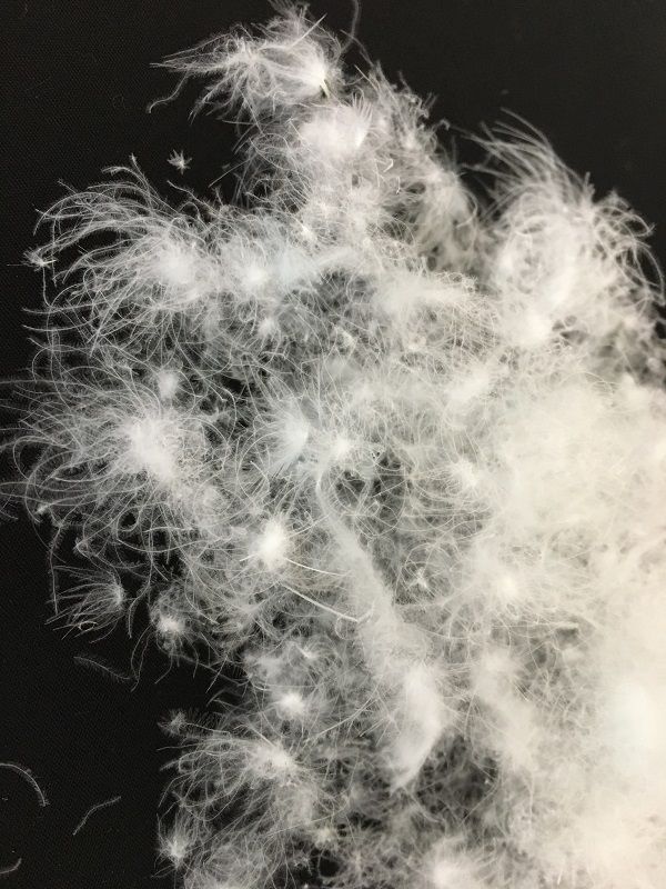 【本掛け布団】羽毛掛けふとん（セミダブル：170㎝×210㎝）イングランド産ホワイトダウン93％　　[山梨 甲斐市 羽毛ふとん 布団 寝具] BZ-23