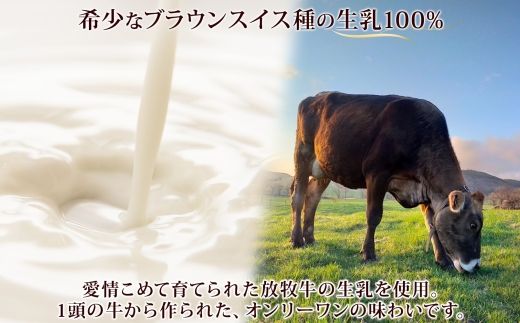 1807. 牧之瀬牧場 アイスクリーム ミルク 2L 業務用 ブラウンスイス 2リットル アイス ジェラート 牧場 生乳 牛乳 スイーツ デザート おやつ 送料無料 北海道 弟子屈町 16000円