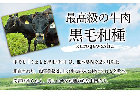 【6ヶ月定期便】【A5ランク】牛肉 くまもと黒毛和牛 すき焼き用 400g 株式会社KAM Brewing《お申込み月の翌月から出荷開始》定期 計6回お届け 熊本県 大津町 送料無料 牛肉 肉 定期便---so_fkmkgsktei_23_129000_mo6num1---