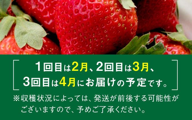 【全3回定期便】【2025年2月〜お届け】農家直送 朝どり新鮮いちご【博多あまおう】約270g×4パック《築上町》【株式会社H&Futures】[ABDG006]