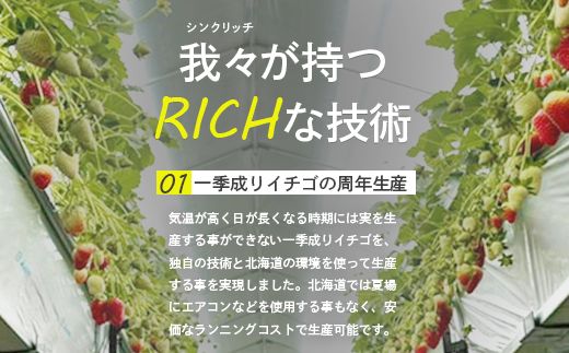 【受注後、随時発送！】【北海道産】ゆきいちご（ゆきぼたん/すず）赤白MIX×2Pセット 250g×2 計500g 苺 白いちご 一季成りイチゴ 希少 ギフト お取り寄せ ふるさと納税 北海道 中標津 【59003】