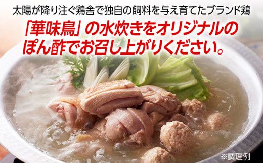 福岡「華味鳥」水炊きセットN(2～3人前)