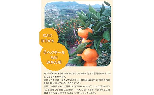 ジューシーで甘い♪『松田農園』のみかんたっぷり約5kg (S-2Lサイズ) 予約受付中 フルーツ 秋 旬 熊本県 玉名郡玉東町『松田農園』手間暇かけたこだわりのミカン《11月上旬-1月下旬頃出荷》---sg_mtdmikan_ak111_r7_12500_5kg---