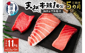 b500-011　【定期便5回】天然本鮪 一本分を加工してお届け