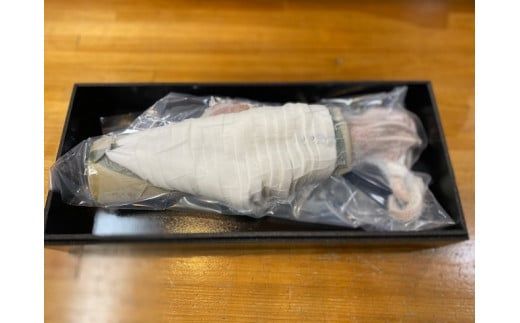 D262 瞬冷まるで活造り！冷凍日本海産剣先いか(約3人前)