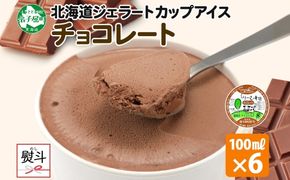 2342. 無地熨斗 くりーむ童話 カップアイス チョコレート 100ml×6個 チョコ アイスクリーム アイス スイーツ ミルク 贈り物 ギフト プレゼント 詰め合わせ 送料無料 北海道 弟子屈町