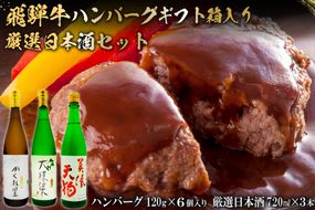 3-7　飛騨牛 ハンバーグ120g×6個入 ギフト箱入り + 厳選日本酒720ml×3本【0026-034】