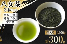 茶 八女茶 煎茶「極」・煎茶「誉」・宝の翠 100g×各1 計3本 セット 箱入り [くしだ企画 福岡県 筑紫野市 21760606] お茶 煎茶 緑茶 銘茶 茶葉 飲み比べ 福岡県産 八女