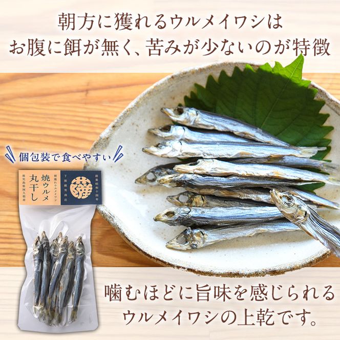 焼ウルメ丸干し10袋セット(20g×10袋)海産物 いわし 鰯 ウルメイワシ おつまみ おかず【下園薩男商店】akn086-07