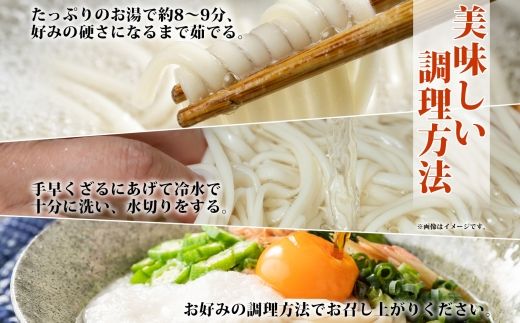 北海道産 うどん 250g×12袋 2-3人前 乾麺 干しうどん 麺 めん きたほなみ 小麦使用 小分け 個包装 保存 備蓄 贈り物 ギフト 送料無料 北海道 十勝 士幌町 【N05-2】