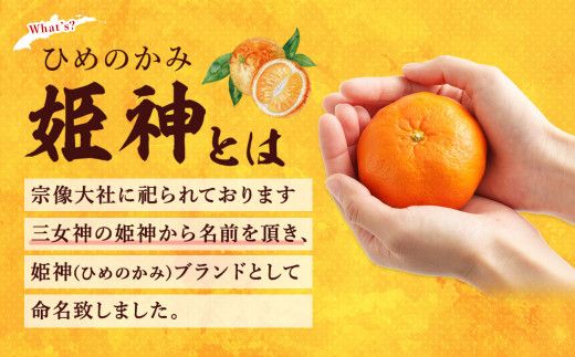 旬のミカンをお届け！JAむなかた柑橘ブランド「姫神」5kg 甘くておいしいみかん【2025年1月～4月上旬発送】【ほたるの里】_HA0280