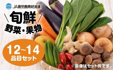 【JA直売所セレクト】旬鮮野菜・果物セット（12～14品目）　K072-001