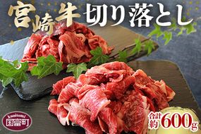 ＜宮崎牛切り落し 合計約600g (約300g×2パック)＞2か月以内に順次出荷【a0505_sh】