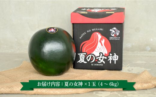 《2026年分受付中》『夏の女神』種が少なくて甘い黒皮スイカ1玉入（中玉4～6kg）【01005】