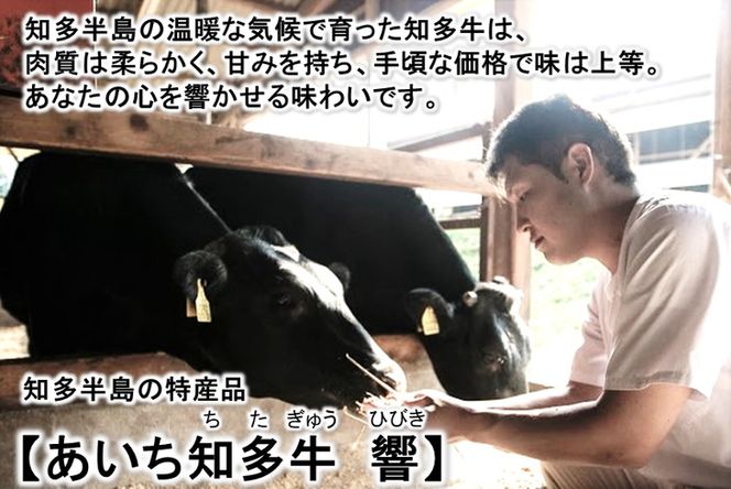 高級4等級使用!! 【サーロインステーキ】250g4枚 『知多牛』生肉で送ります!!◇ ※北海道・沖縄・離島の方は量が異なりますので、下記内容量欄で確認してください。