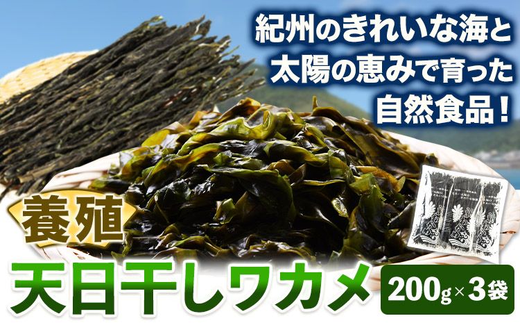 天日干し ワカメ (養殖) 約600g 約200g×3袋 株式会社はし長 [30日以内に出荷予定(土日祝除く)] 和歌山県 日高町 わかめ ワカメ 海藻 味噌汁---wsh_hsn11_30d_23_15000_600g---