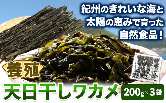 天日干し ワカメ (養殖) 約600g 約200g×3袋 株式会社はし長 《30日以内に出荷予定（土日祝除く）》 和歌山県 日高町 わかめ ワカメ 海藻 味噌汁---wsh_hsn11_30d_23_15000_600g---