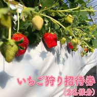 いちご狩り招待券（2名様分）｜苺狩り イチゴ狩り ペア券 冬 春 果物 ※2025年10月上旬～2026年1月下旬頃に順次発送予定