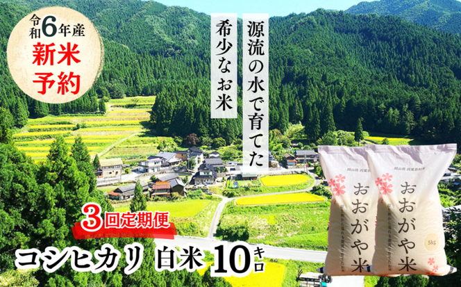 【3回定期便】白米 10kg 令和6年産 コシヒカリ 岡山 「おおがや米」生産組合 G-ag-BDZA