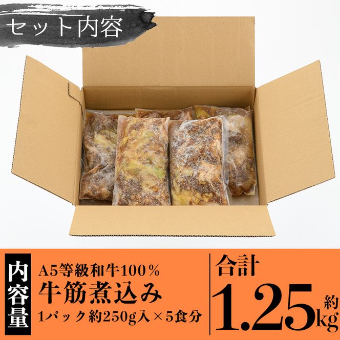 a822 《訳あり》国産A5等級和牛100％牛すじ煮込み(合計約1.25kg・約250g×5食分)【やまさき】牛筋 牛すじ 煮込み おかず 惣菜 おつまみ 時短調理 国産和牛 セット 冷凍