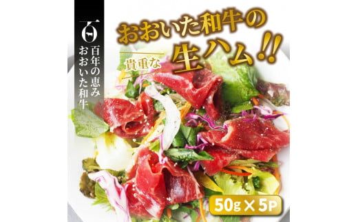 おおいた和牛の贅沢生ハム＆ローストビーフセット計550g_2381R