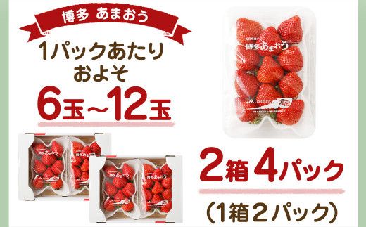 大粒セレクト！大人気のあまおう　福岡県産いちご　270g×4パック【2025年1月～2月上旬発送】_HA0274