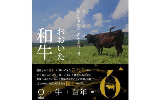 【A01065】 百年の恵 「おおいた和牛」 ロースすき焼・ももしゃぶしゃぶセット約900g